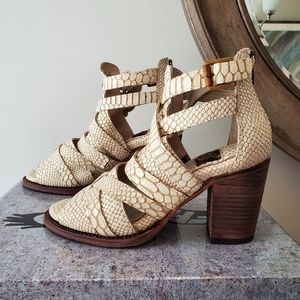 Freebird by Steven CLAW WHITE SNAKE 8 NIB